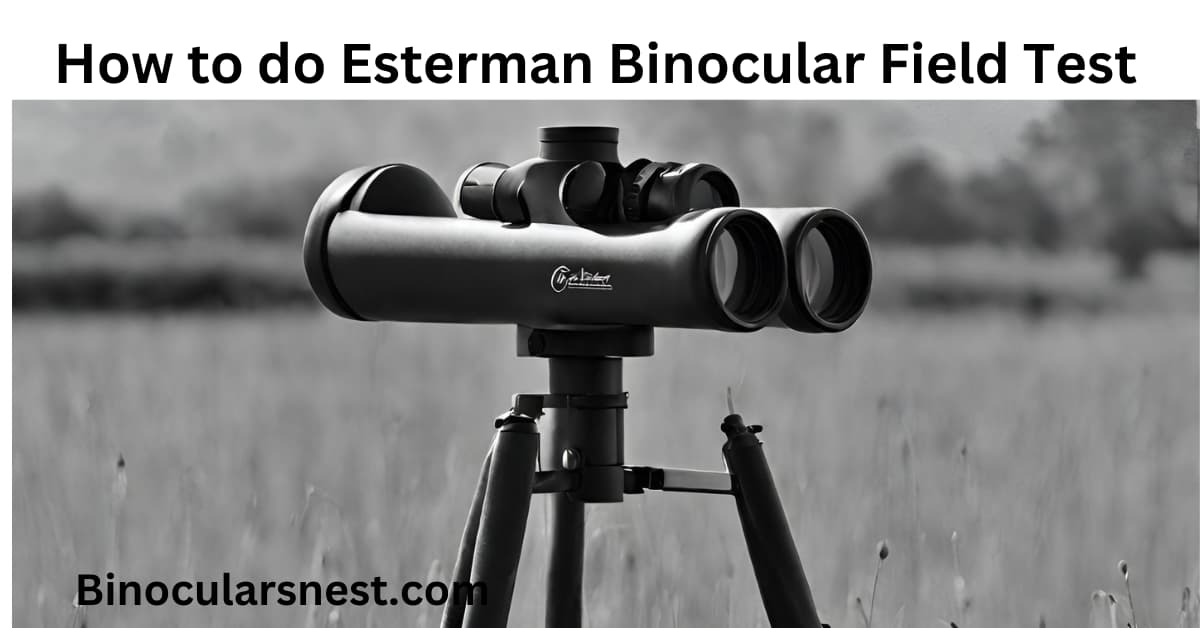 How to do Esterman Binocular Field Test