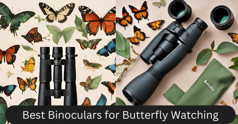 Best Binoculars for Butterfly Watching | The Best Brands Guide